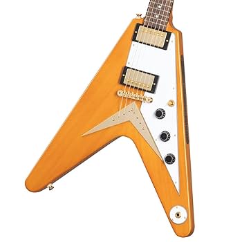 エピフォン フライングV 1993 エレキギター Epiphone Flying エピフォン Epiphone Flying V Ebony エレキギター(エピフォン